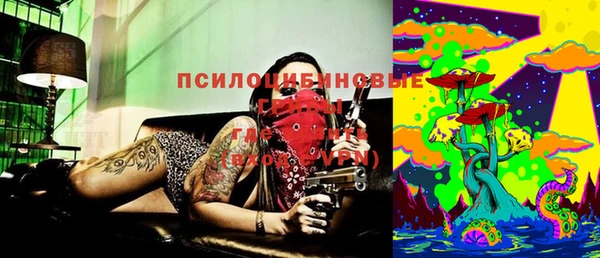амф Абдулино