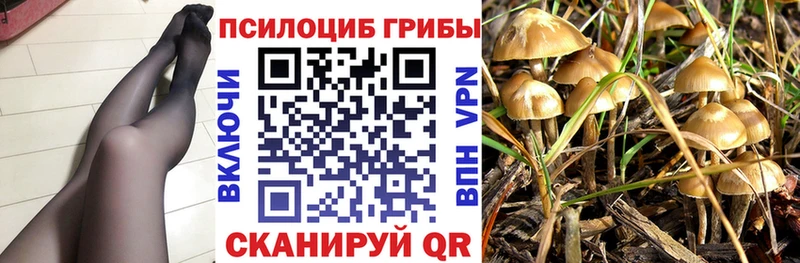 Галлюциногенные грибы Psilocybine cubensis  Усмань 