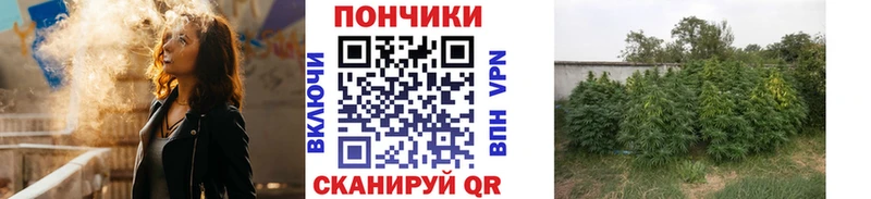 omg ссылки Усмань Конопля THC 21%